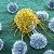 از بین بردن سلول‌های سرطانی با نانوذرات مغناطیسی